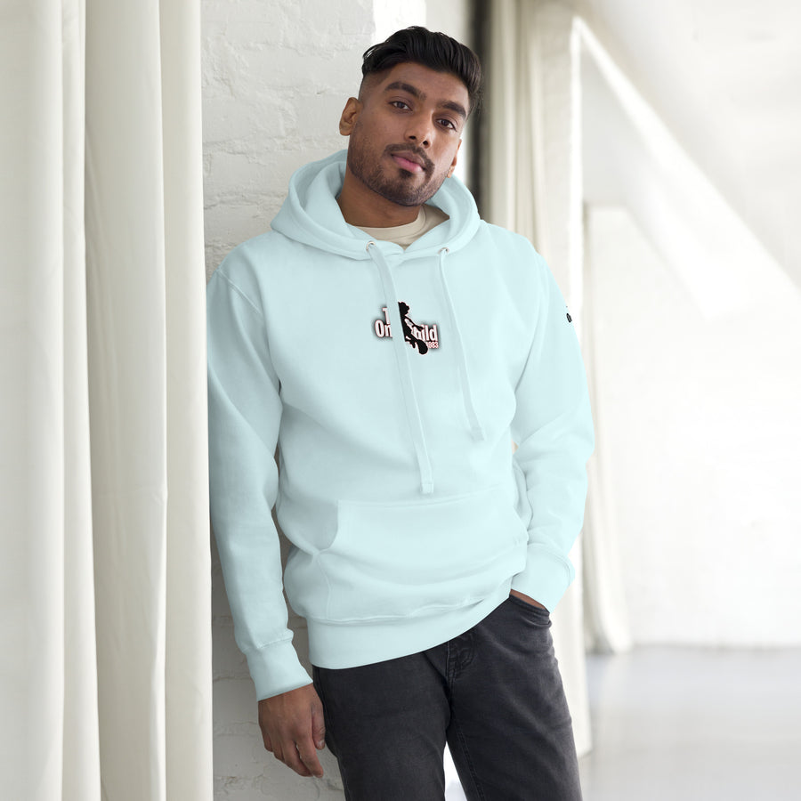 The Only Child 1983 AIR REGG Cherry 11's Unisex Hoodie